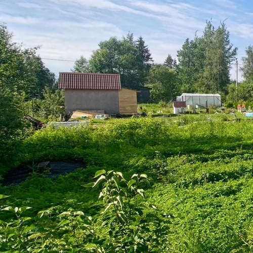 Коттедж/дом Пупышево садоводческий массив, Связист СНТ, 9-я линия, 282