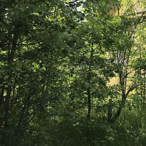 Коттедж/дом Сады имени Володарского СНТ,  д. 167