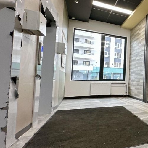 Студия пос. Парголово, улица Брюлловская, 3