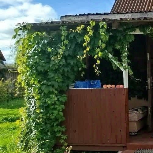 Коттедж/дом Солнечный СНТ, улица 30-я, 506