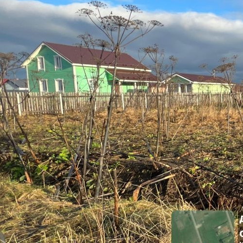 Земельный участок д. Аннолово, проезд 1-й Кошелевский,  д. 10