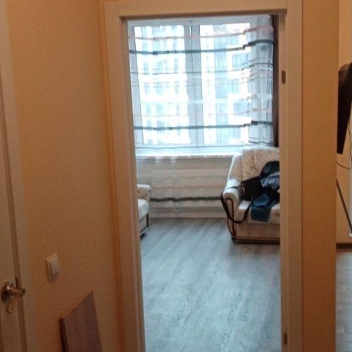 1-комн квартира д. Новосаратовка, улица Первых, 2к4