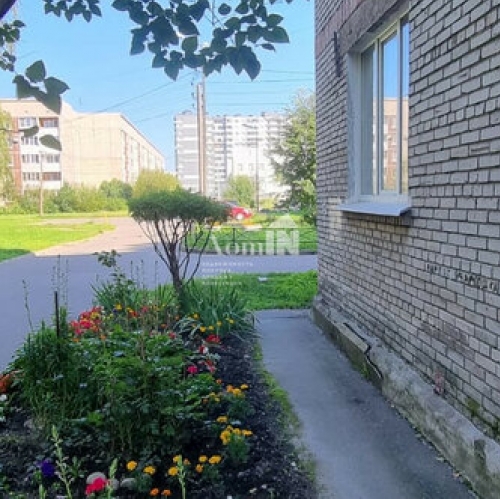 1-комн квартира Пискаревский пр-кт,  д. 155