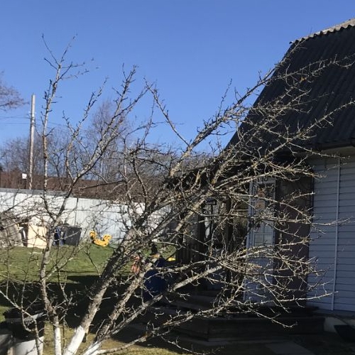 Коттедж/дом д. Гостилицы, Заозерное-3 СНТ, 28