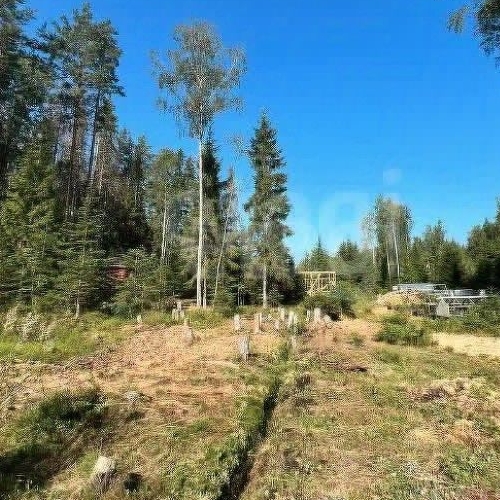 Земельный участок ДНП Лесной хут., д. Сарженка