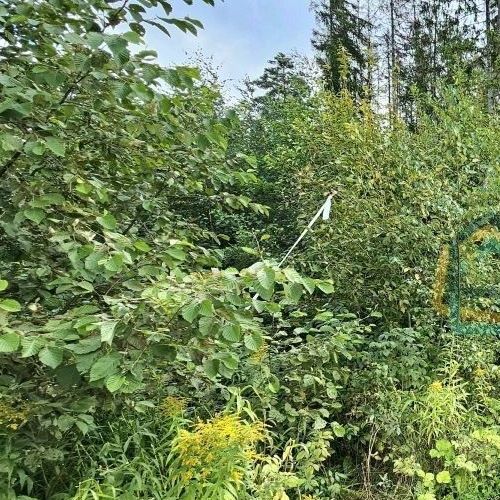 Земельный участок Сертолово, Медное Озеро-3 СНТ, улица Солнечная