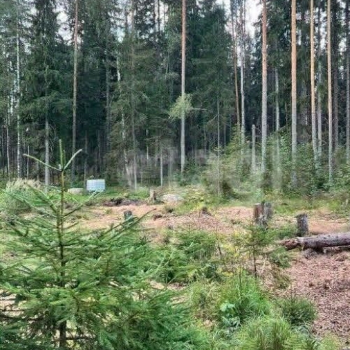 Земельный участок ДНП Лесной хут., д. Сарженка