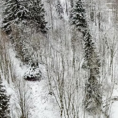 Земельный участок д. Юкки, улица Спортивная