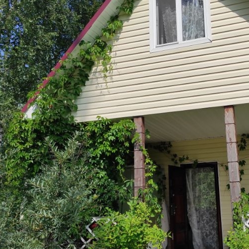 Коттедж/дом Мшинская садоводческий массив, Рассвет-2 СНТ,  д. 8