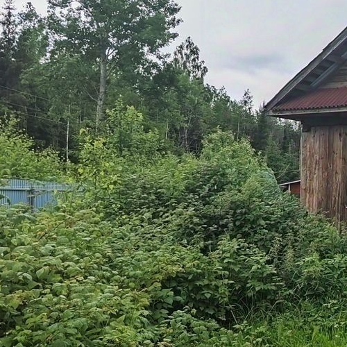 Коттедж/дом д. Устеево, 18