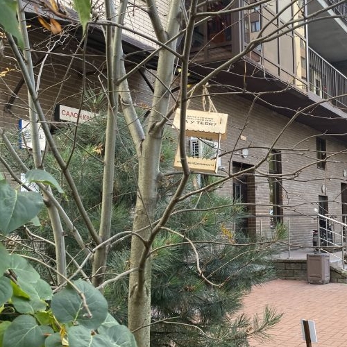 1-комн квартира Мурино, бульвар Менделеева, 14