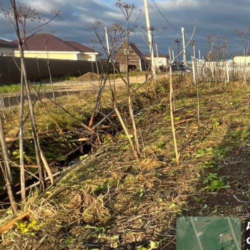 Земельный участок д. Аннолово, проезд 1-й Кошелевский,  д. 10