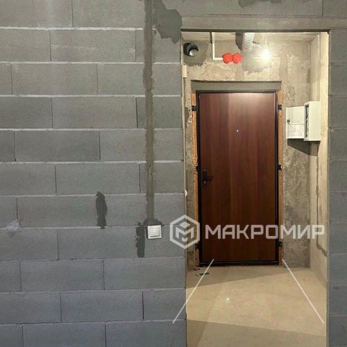 Студия пос. Парголово, Заречная улица, 11к6