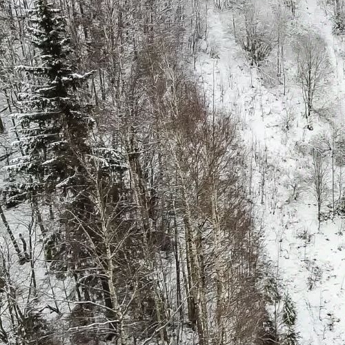 Земельный участок д. Юкки, улица Спортивная