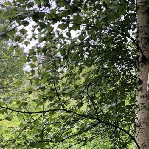 Коттедж/дом пос. Яркое, улица Фарфоровая, 13