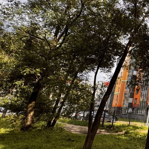 Студия Петергофское шоссе, 86к3