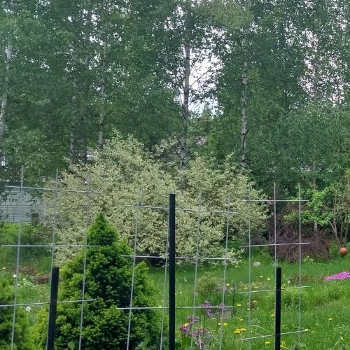 Коттедж/дом Васкелово садоводческий массив, ЦНИИ Электроприбор СНТ, проезд 2-й