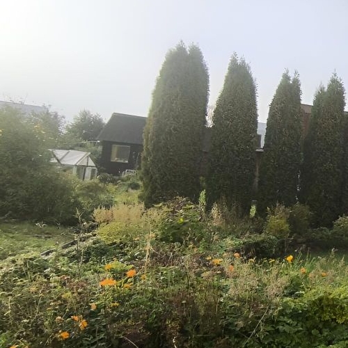 Коттедж/дом Беляевский Мох садоводческий массив, Маяк СНТ, улица Огородная, 1