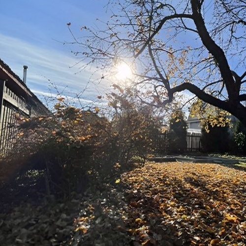 Коттедж/дом Михайловский садоводческий массив, Отрадненское СНТ, 14-я линия, 665