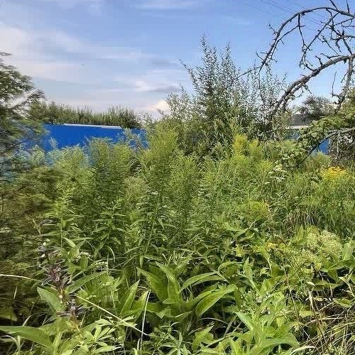 Коттедж/дом Автомобилист СНТ, улица 21-я, 41