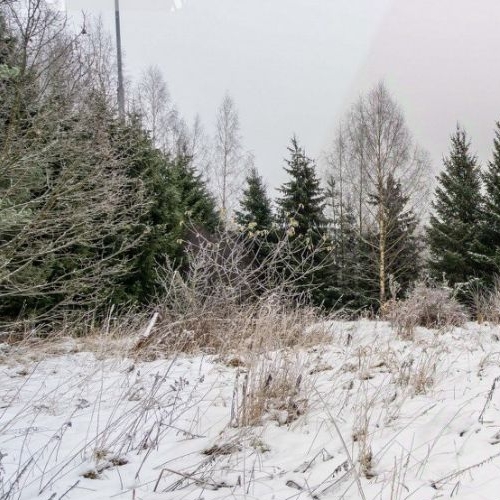 Земельный участок д. Капитолово,  д. 52