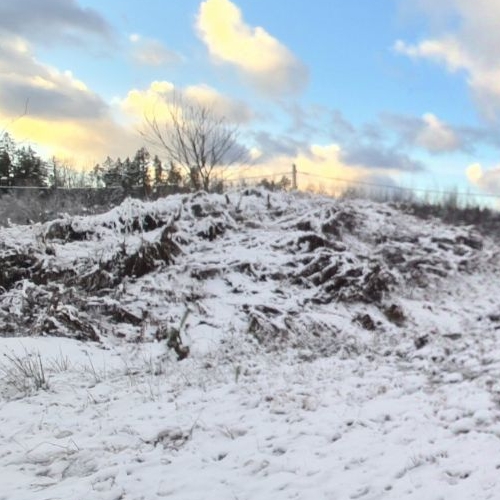 Земельный участок Молодежное кп, Сосновый Бор,  д. 105