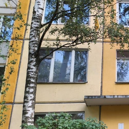 Комната улица Карпинского, 38К2