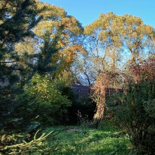 Коттедж/дом пос. Тярлево, Московское шоссе