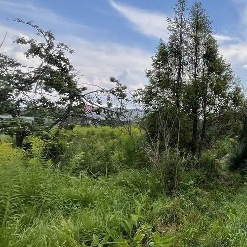 Коттедж/дом Автомобилист СНТ, улица 21-я, 41