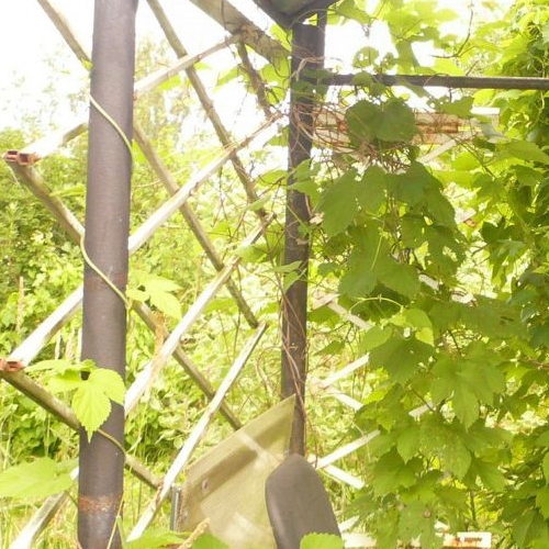 Коттедж/дом Солка садоводческий массив, Сатурн СНТ, улица 6-я, 266