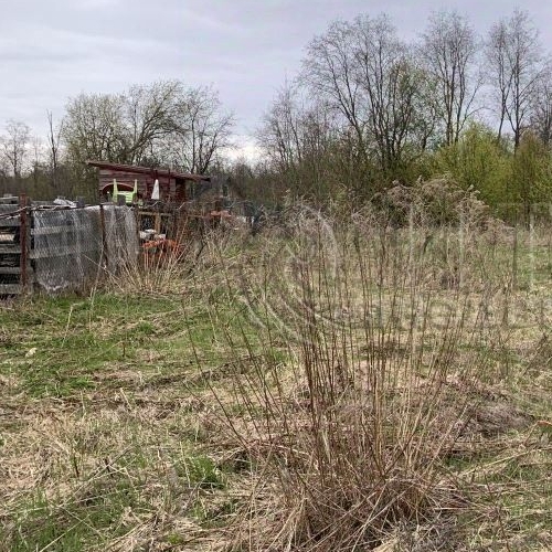 Коттедж/дом д. Шамокша, улица Сельская, 3