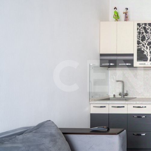 Студия проспект Ветеранов, 196