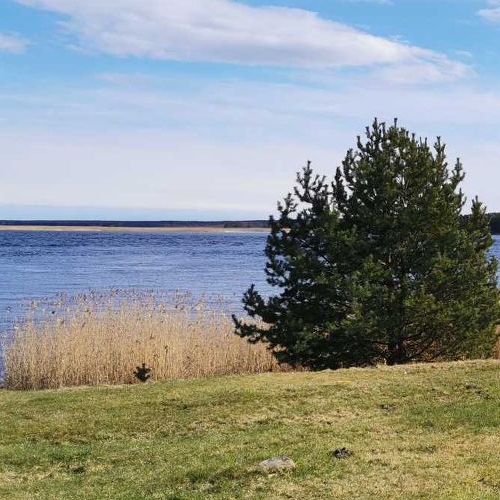 Земельный участок пос. Соловьево, 41