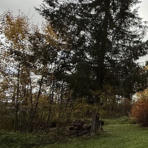 Коттедж/дом Посадников остров садоводческий массив, Сигнал СНТ, улица Соловьиная