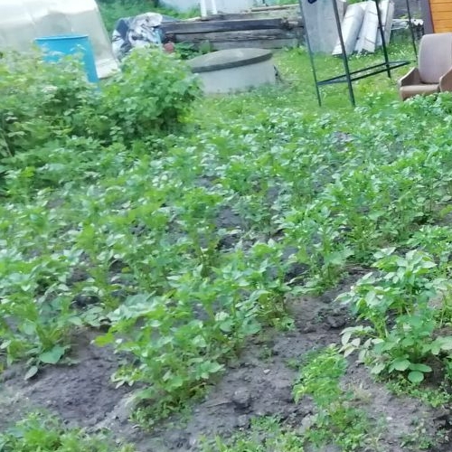 Коттедж/дом Горы-3 дм, Локомотив СНТ, улица Цветочная, 1