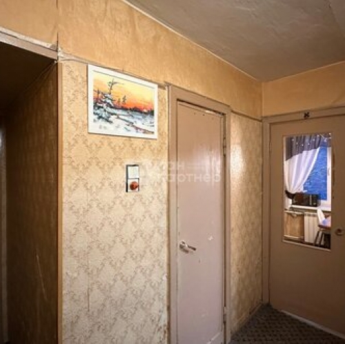 1-комн квартира Тореза пр-кт,  д. 40 к3