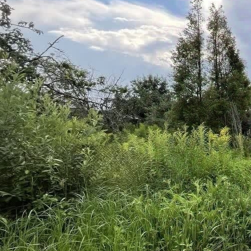 Коттедж/дом Автомобилист СНТ, улица 21-я, 41