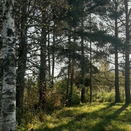 Коттедж/дом Восход садоводческий массив, Ладога-73 СНТ, 9-я линия, 320