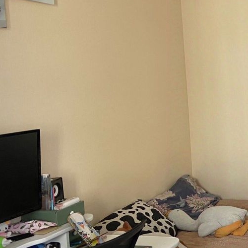 Студия пос. Шушары, Школьная улица, 6к2