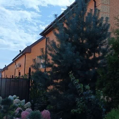 Коттедж/дом д. Низино, улица Меншиковская, 6Ж