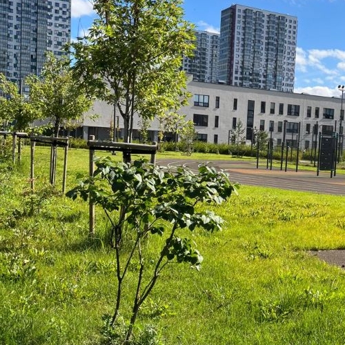 Студия проспект Орлово-Денисовский, 17к1