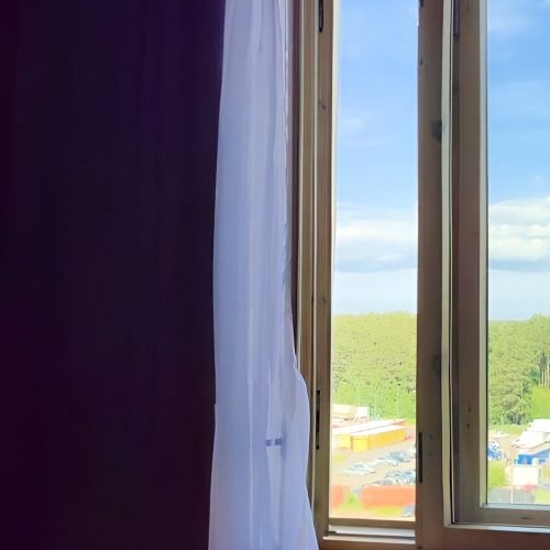 1-комн квартира д. Новое Девяткино, улица Энергетиков, 8