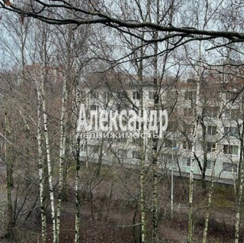 1-комн квартира Космонавтов пр-кт,  д. 86 к1