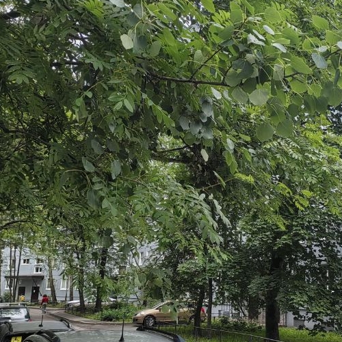 3-комн квартира проспект Художников, 15К3