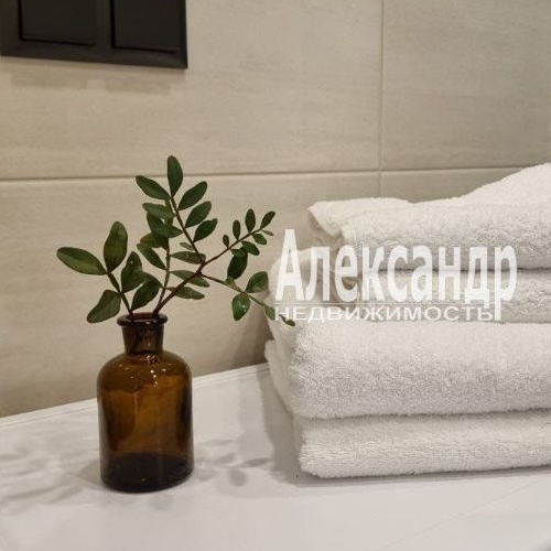 Студия Пушкин, улица Камероновская, 3к1