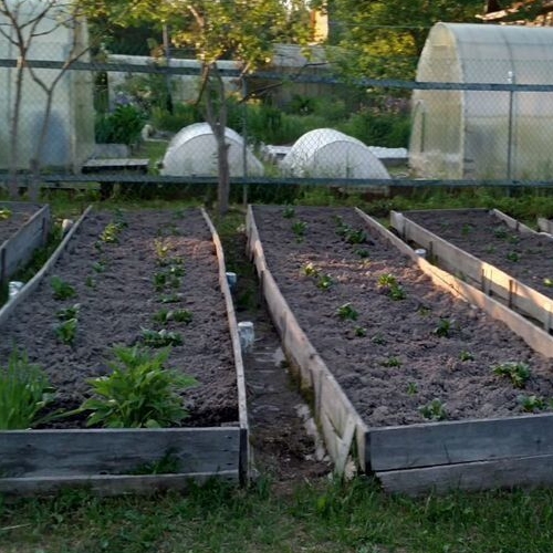 Коттедж/дом Красницы садоводческий массив, Маяк садоводческое товарищество