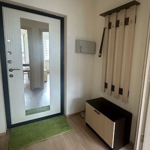 1-комн квартира Мурино, улица Шоссе в Лаврики, 59к2