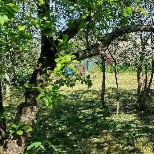 Коттедж/дом Молодежный СНТ, улица 9-я, 140