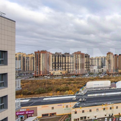 Студия пос. Парголово, проезд Толубеевский, 8к2