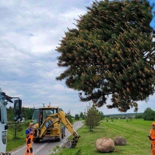 Земельный участок Гатчина Гарденс ЖК, д. Красницы